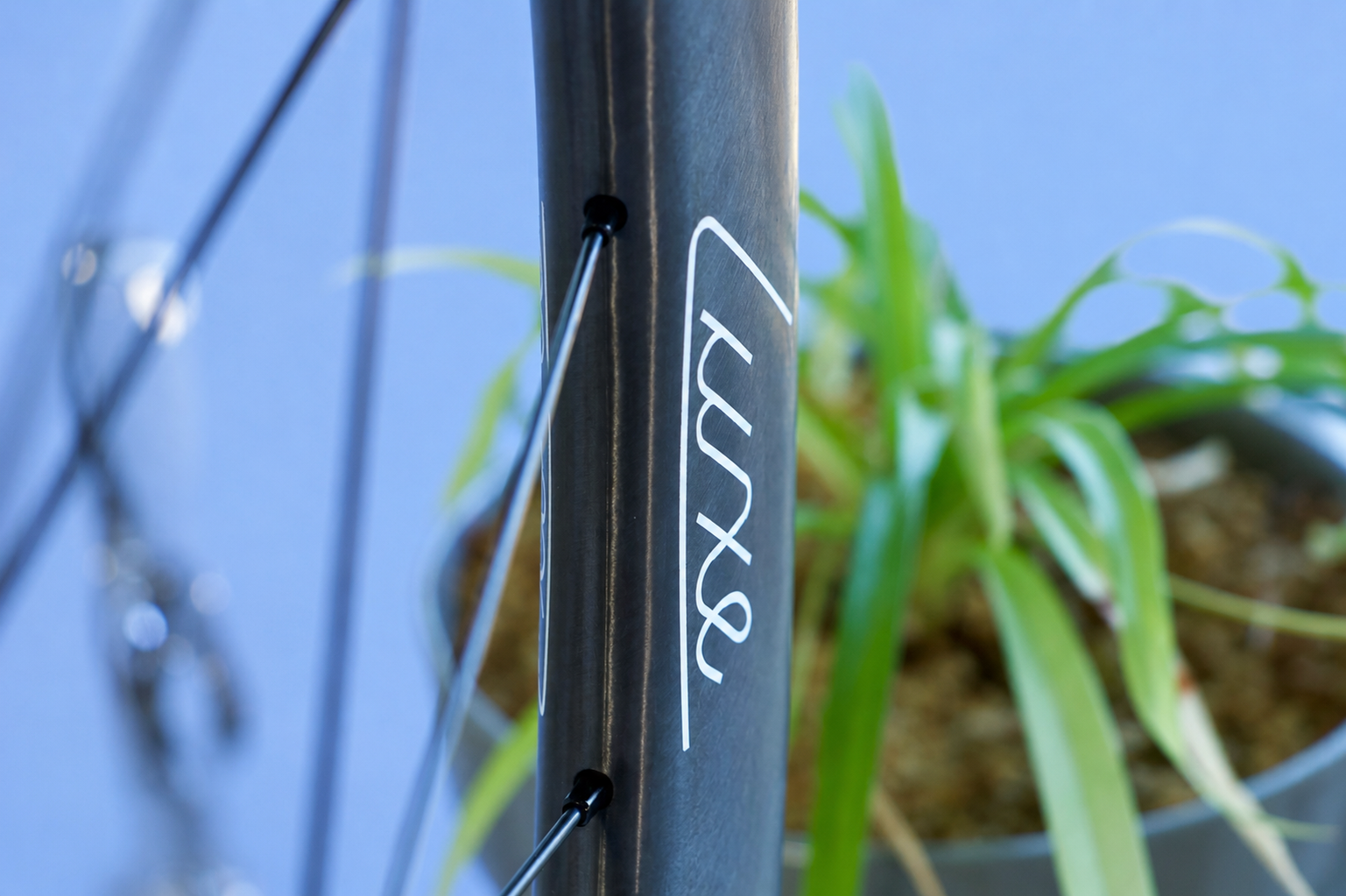 Luxe Carbon Disc Wheelset - Image 8
